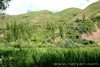 sadaf (15)_resize.jpg